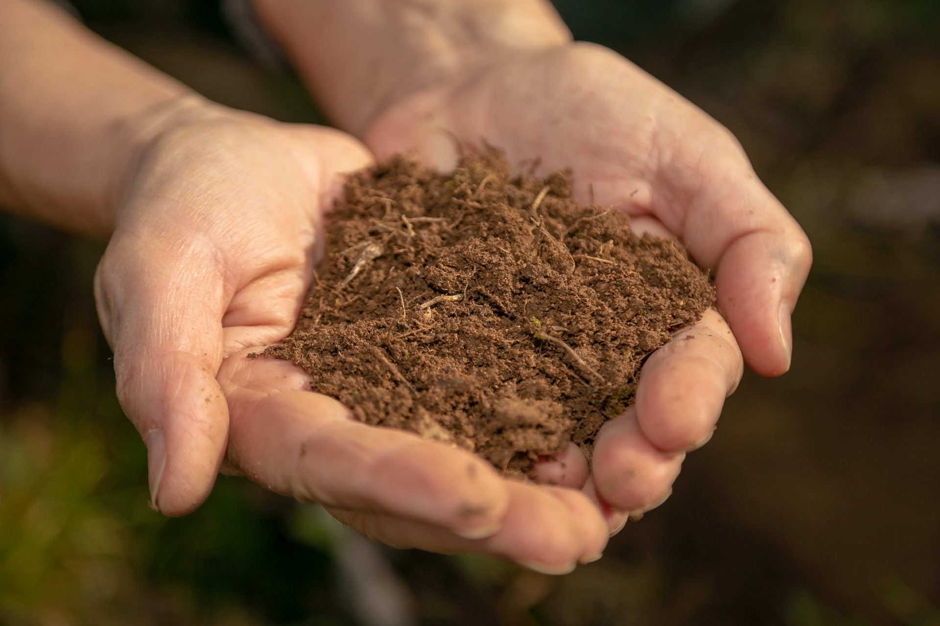 Soil Engineering | Predictsite